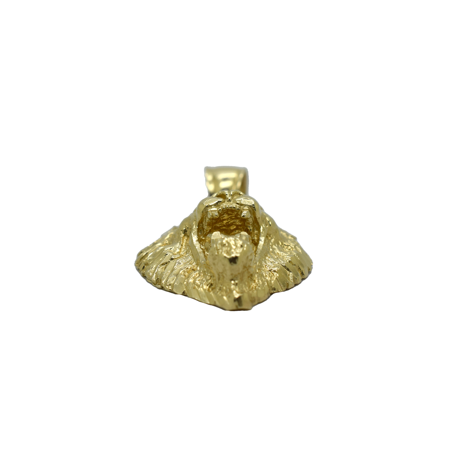 14k Gold Lion Head 10g
